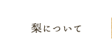 梨について